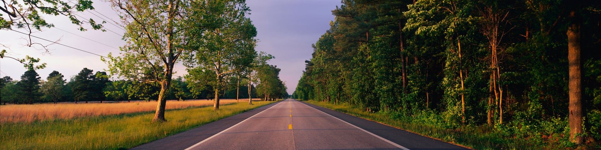 A straight road flanked by trees and grass fields.