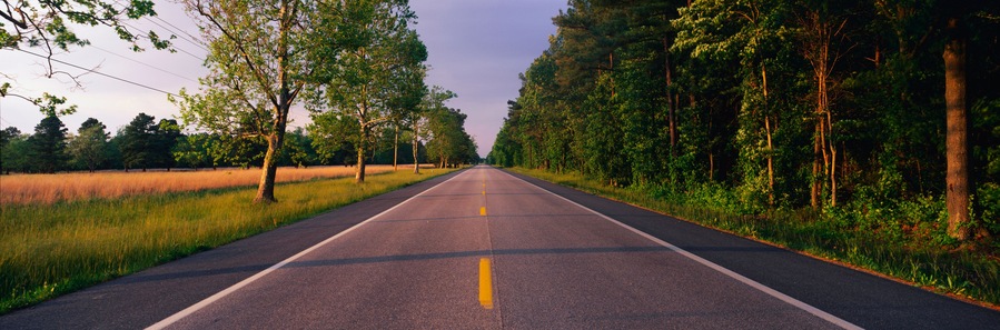 This is a tree lined road at sunset. It is located on the Eastern Shore of Maryland. The road travels through the center of the trees.