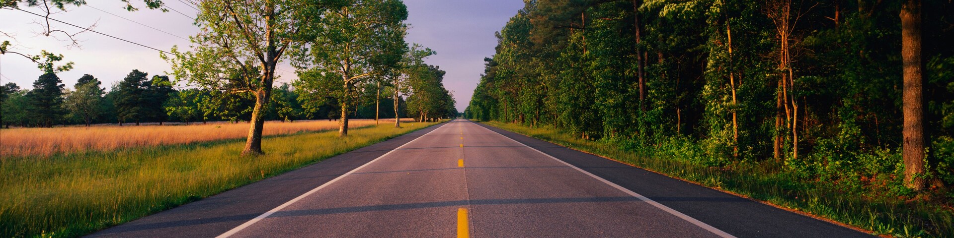 This is a tree lined road at sunset. It is located on the Eastern Shore of Maryland. The road travels through the center of the trees.