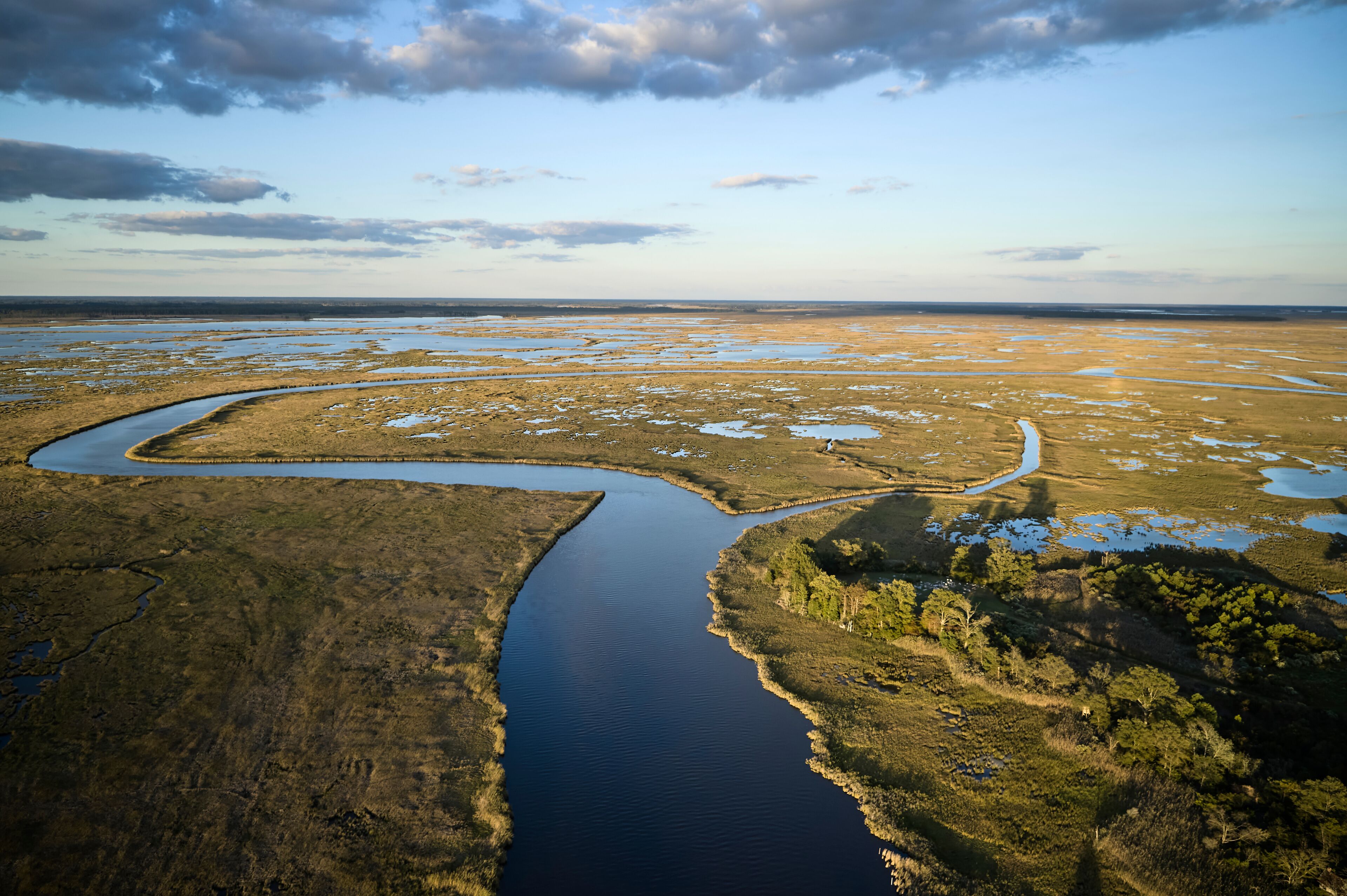 USA, Maryland, Drone view of marshes along Blackwater River at dusk