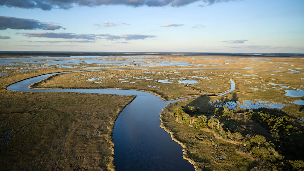USA, Maryland, Drone view of marshes along Blackwater River at dusk