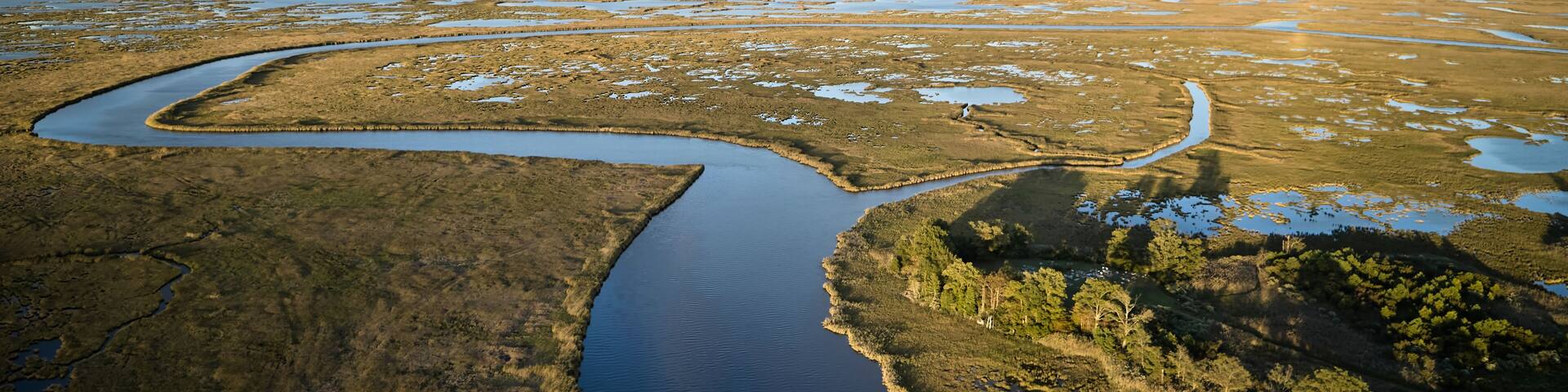 USA, Maryland, Drone view of marshes along Blackwater River at dusk