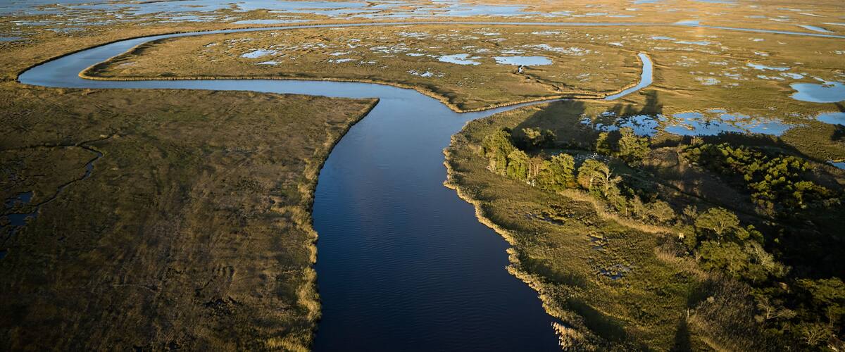 USA, Maryland, Drone view of marshes along Blackwater River at dusk