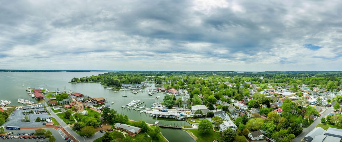 A lakeside town with a marina, houses, and boats.