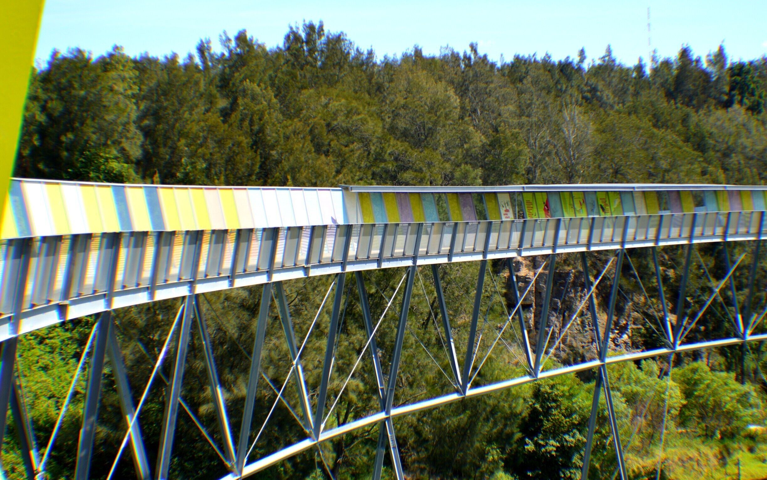 The Brick Pit - home to the endangered green and golden bell frog.   Its a very cool walk with history on the walls.  This is where they cut the stone to make bricks in the early 1900's.  It was originally a brick quarie.