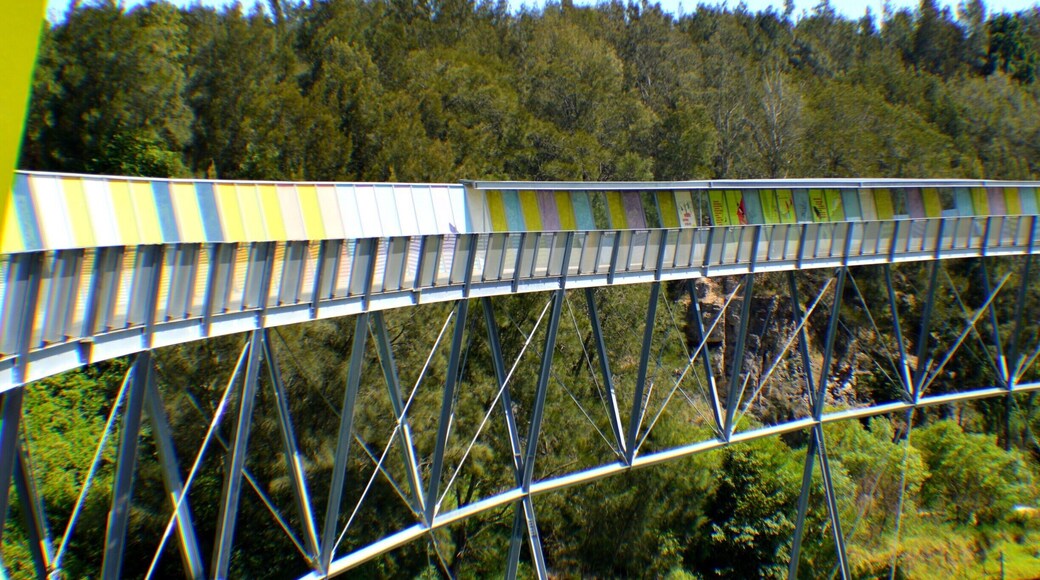 The Brick Pit - home to the endangered green and golden bell frog. Its a very cool walk with history on the walls. This is where they cut the stone to make bricks in the early 1900's. It was originally a brick quarie.