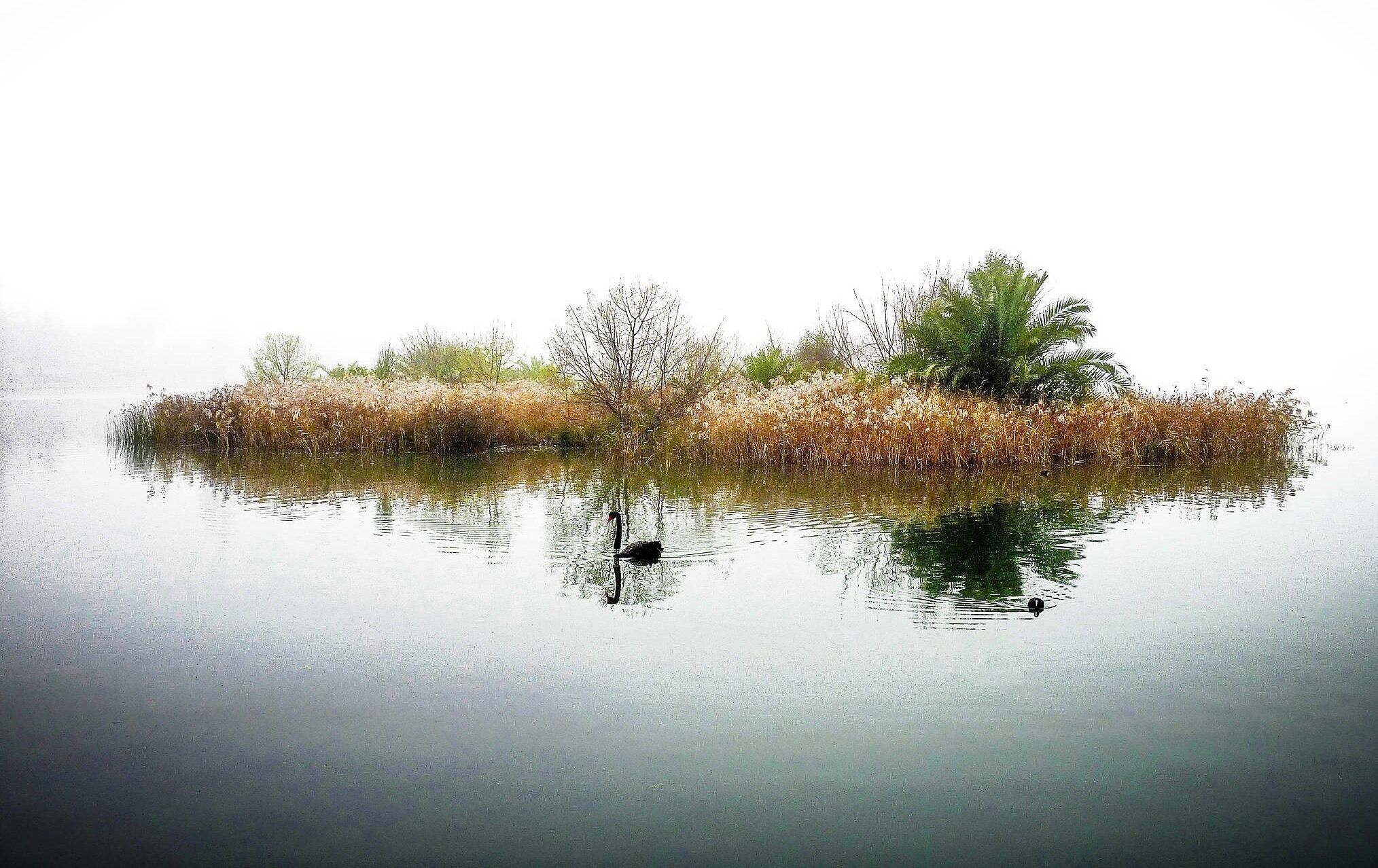 Taken in a foggy morning