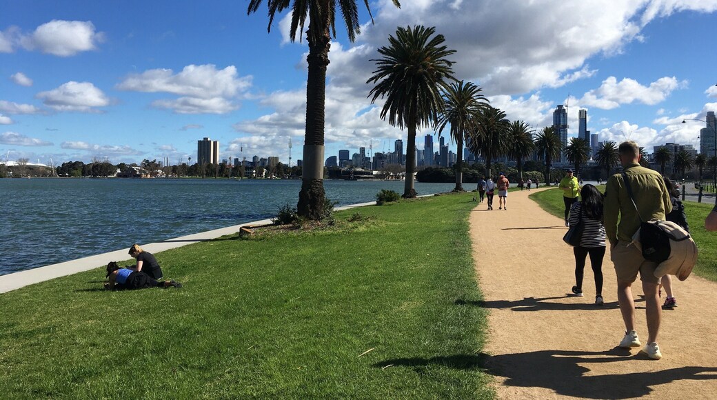 Walk, stroll or maybe even jog (not me) around the lake with views to Melbourne not too far away. It’s about 5 kilometers all the way around. #MyBackyard