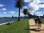 Albert Park