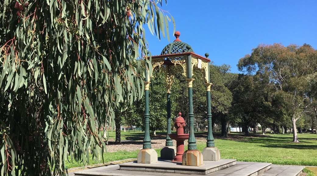 One of the less tramped parts of the huge expanse of Albert Park lake has delights like this blossoming gum tree and the 19th century fountain and surrounds. There’s something new to discover every day in the park. #MyBackyard