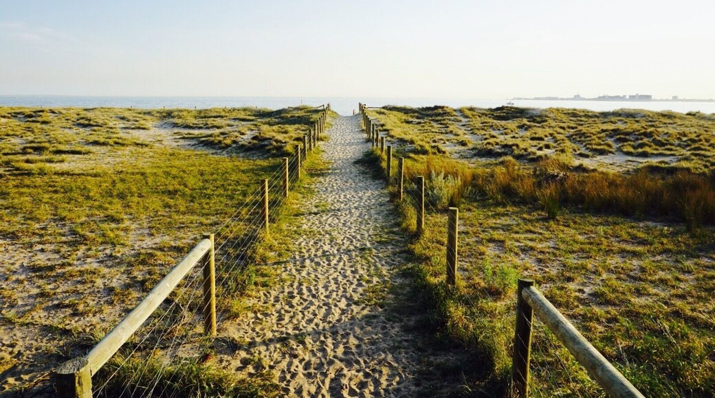 This is on st kilda beach- the pathway to the sea. #stkildabeach #beach #portphillipbay