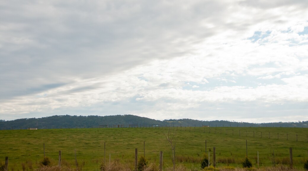 Green meadow countryside mountain in Yarravalley Victoria Australia