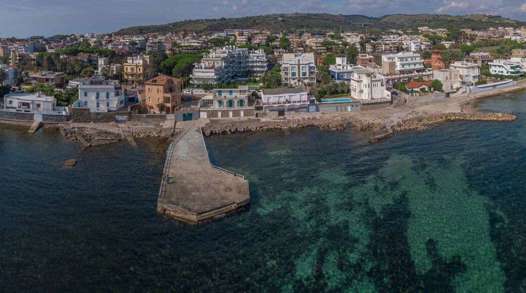 マリネッラ ディ ゼリヌンテ