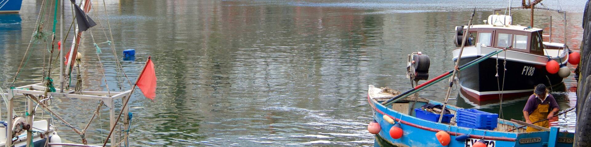 Mevagissey which includes boating and a bay or harbor