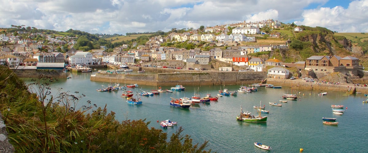 A coastal town with a harbor filled with boats, surrounded by houses and greenery.