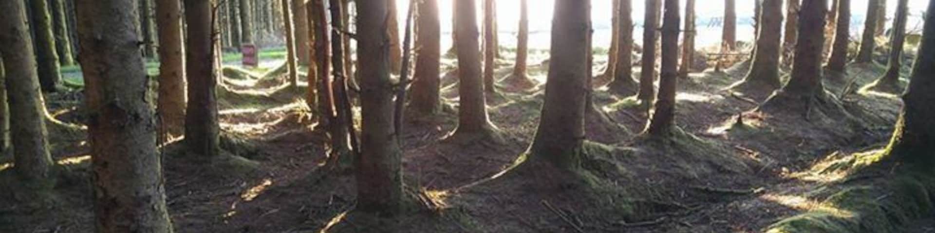 Scenery speaks for itself here.  This is less than a mile from my late Grandfather's home in County Fermanagh