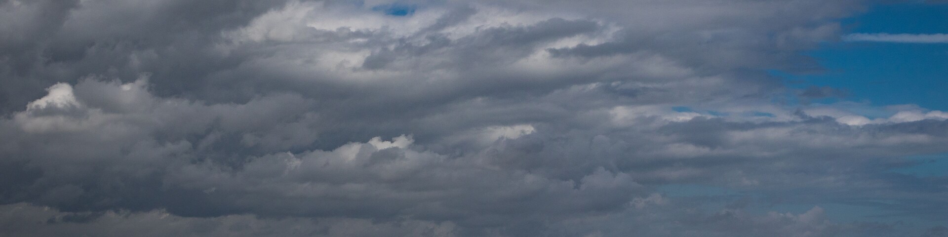 Una playa con cielo nublado y un ave volando.