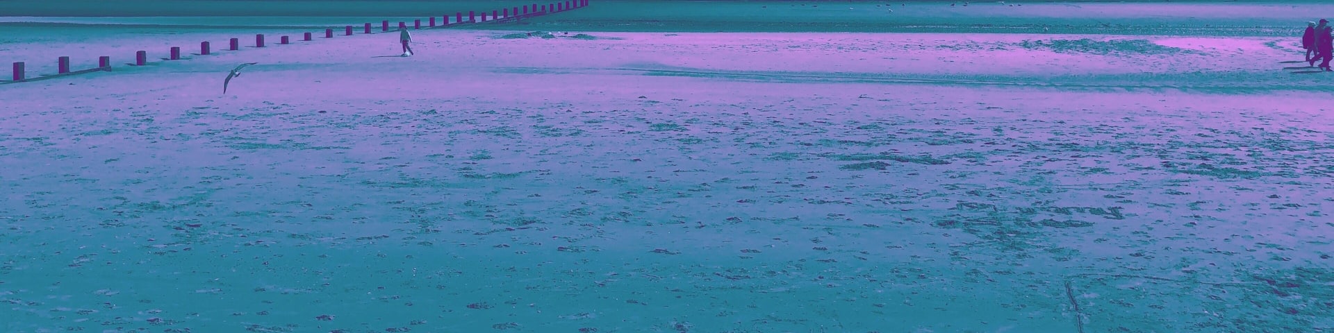 The beach through a lens filter.