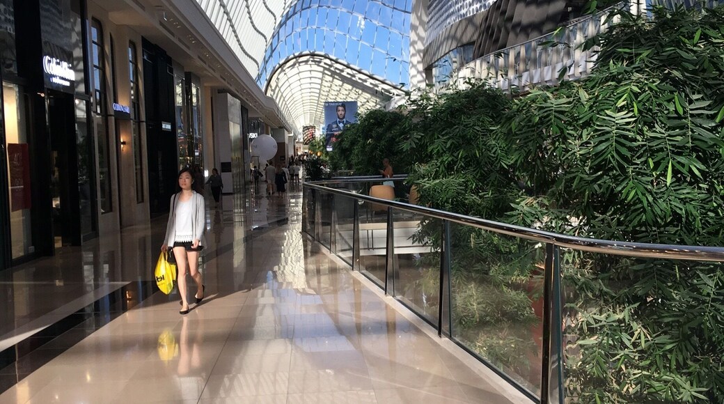 Shopping + #green trees... love it! #melbourne