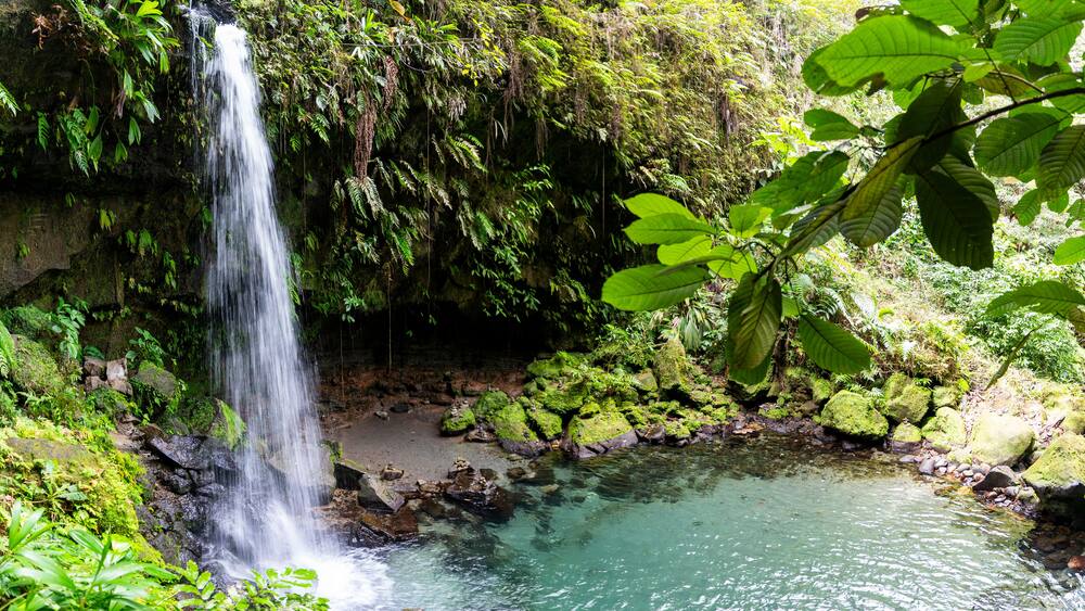 A waterfall cascading into a clear pool surrounded by lush greenery.