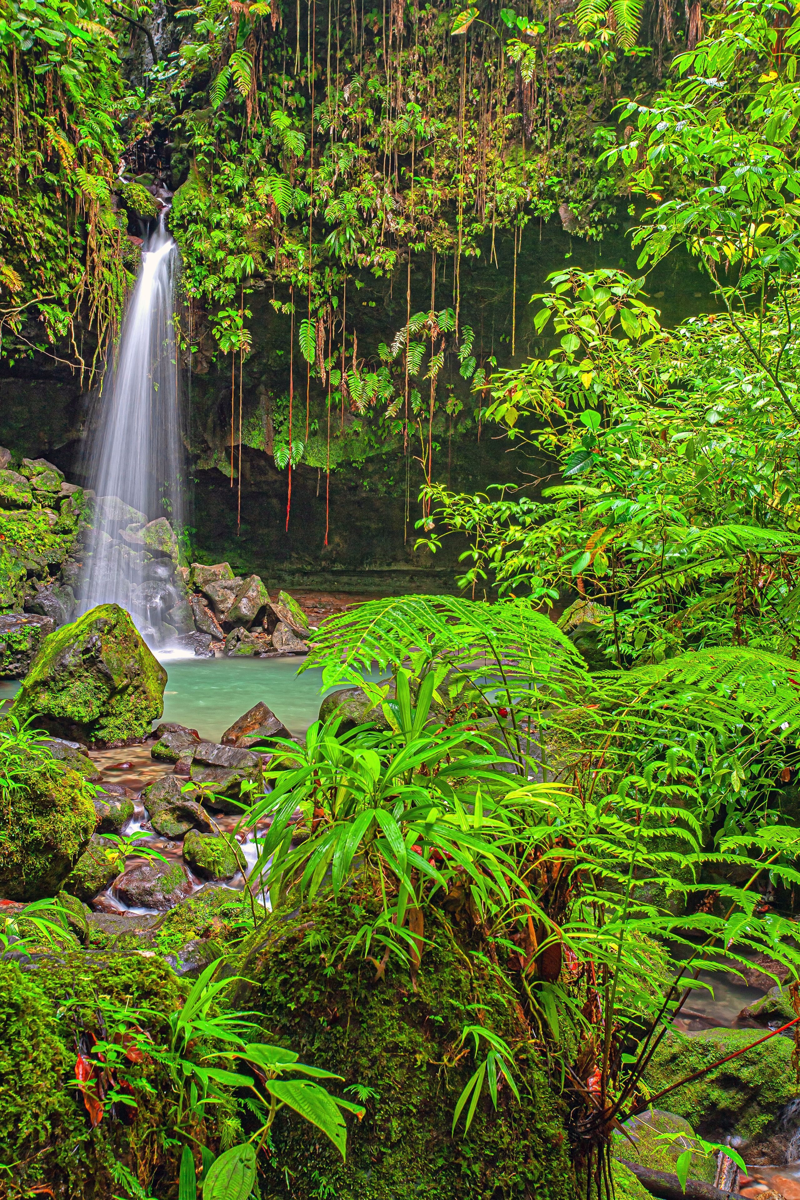 Morne Trois Pitons National Park, Emerald Pool