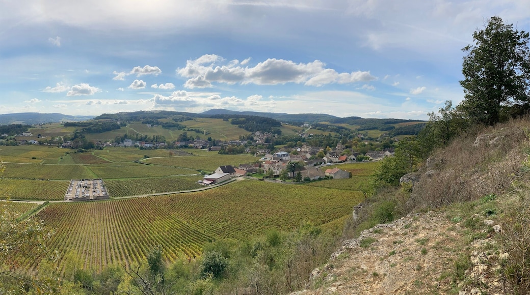 panorama of the mountains in Mercurey in France