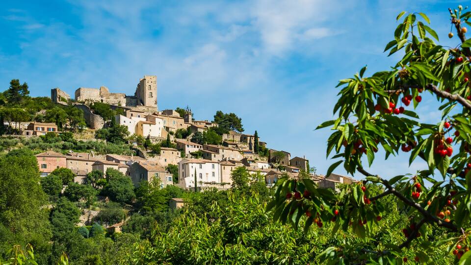 A historic town with medieval architecture, including a castle on a hill, surrounded by lush greenery and trees.
