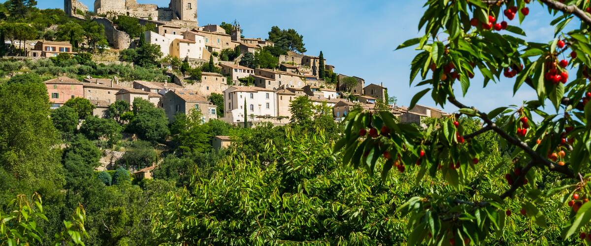 A historic town with medieval architecture, including a castle on a hill, surrounded by lush greenery and trees.