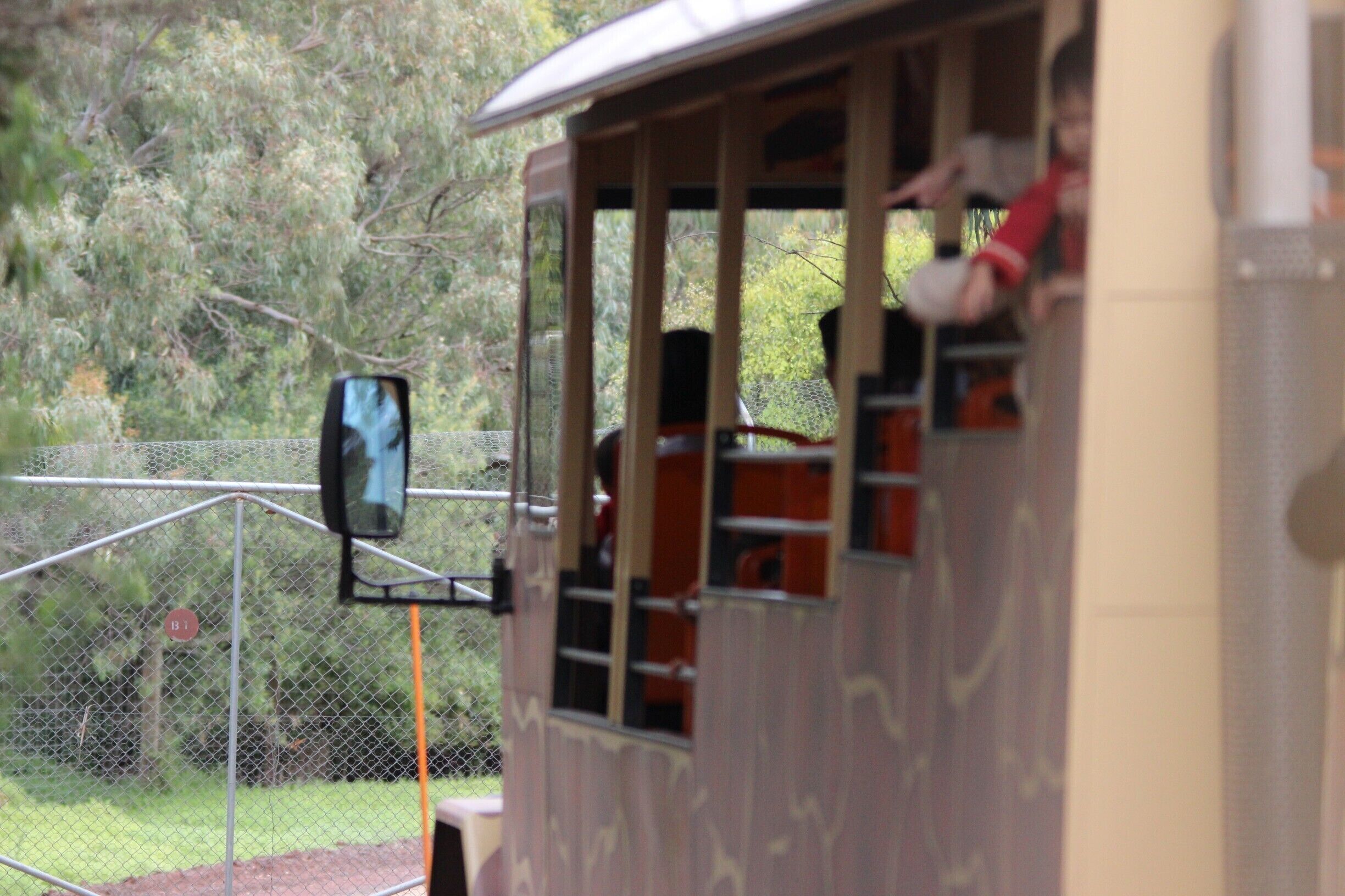 The safari bus at Werribee zoo is great for getting up close to many interesting savannah animals. We were able to get up close to giraffes, rhinos and camels. Offers a lot of opportunities to wildlife photographers

#localgem