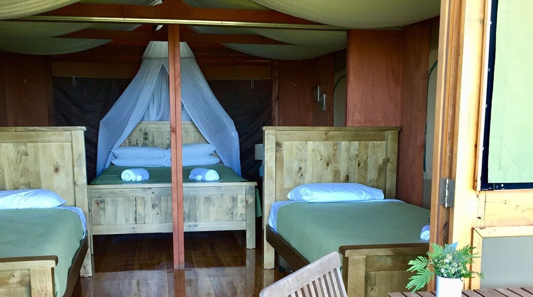 Had an amazing slumber safari experience at the zoo. Woke up early in the morning to the sounds of lion roaring and birds chirping. Also get to have close encounters with animals before sunset and early morning when animals are the most active.