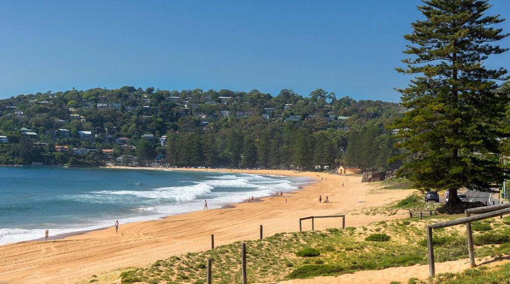 Palm Beach one of Sydney's Northern Beaches; Shutterstock ID 354662774; Purchase Order: -