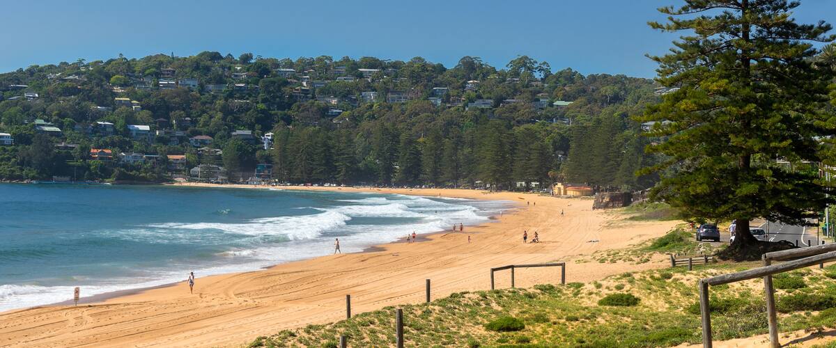 A beach with a sandy shore, waves, and a forested hill in the background.