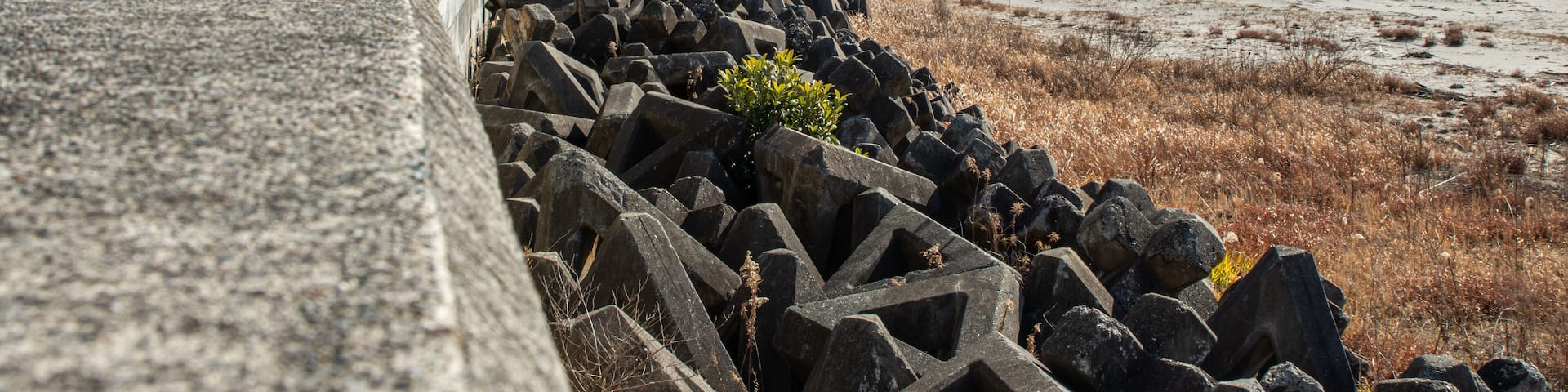 Tetrapods and Seawall at Iwama Beach, Iwaki City, Fukushima Prefecture, Japan, on a Clear Winter Day. Coastal defense structures with rocky shoreline and blue ocean under sunny sky – ideal for travel,