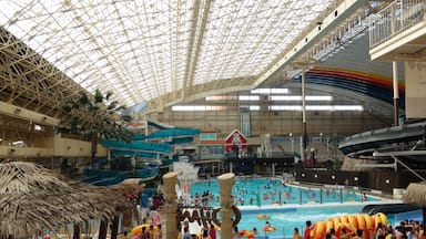 Ein großer Indoor-Wasserpark mit Schwimmbecken, Wasserrutschen und Luftmatratzen.