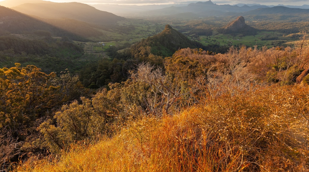 Sunset, view to Mount Warning, Wollumbin, Mebbin, Border Ranges, Mount Jerusalem National Park, Nightcap, Doon Doon, Uki, Tweed Valley, Byron Bay Hinterland - NSW, Australia