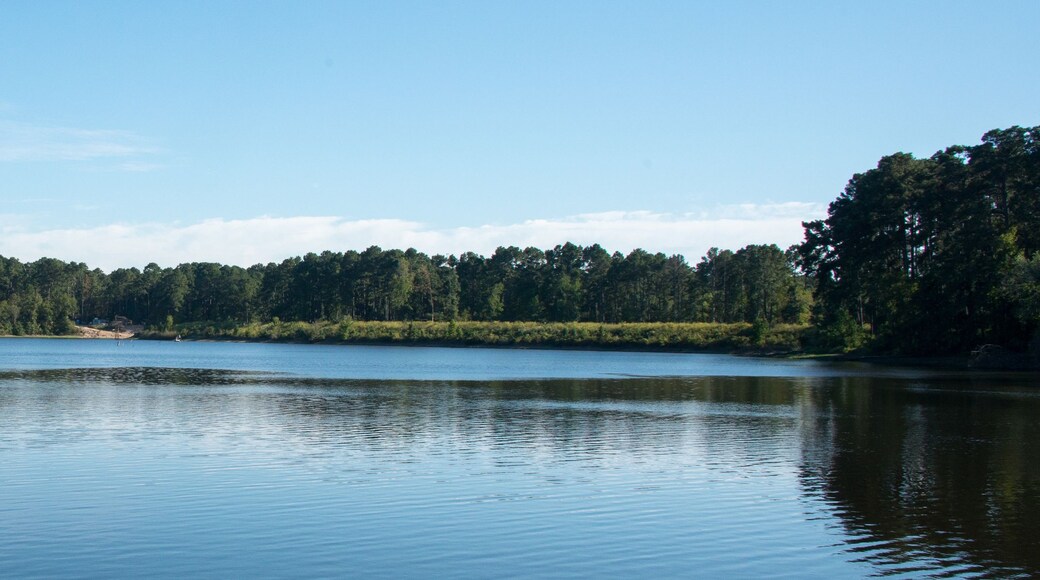 Conroe