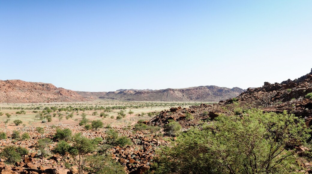 grootberg pass in kunene to kamanjab, desert turns green in spring time in Namibia