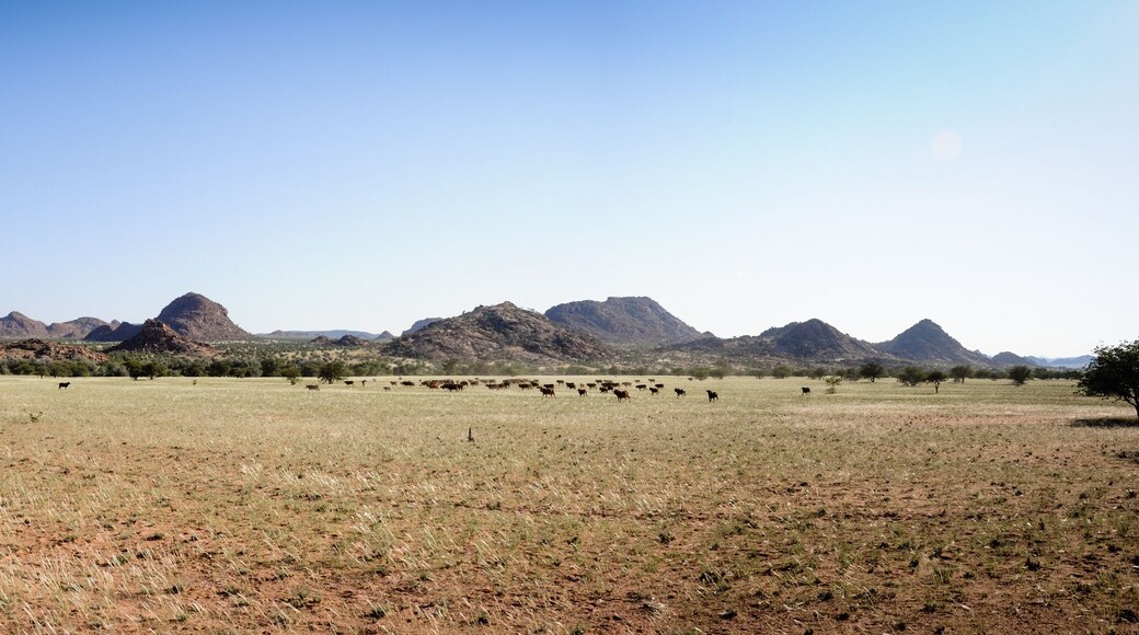 desert turns green in spring time in Namibia