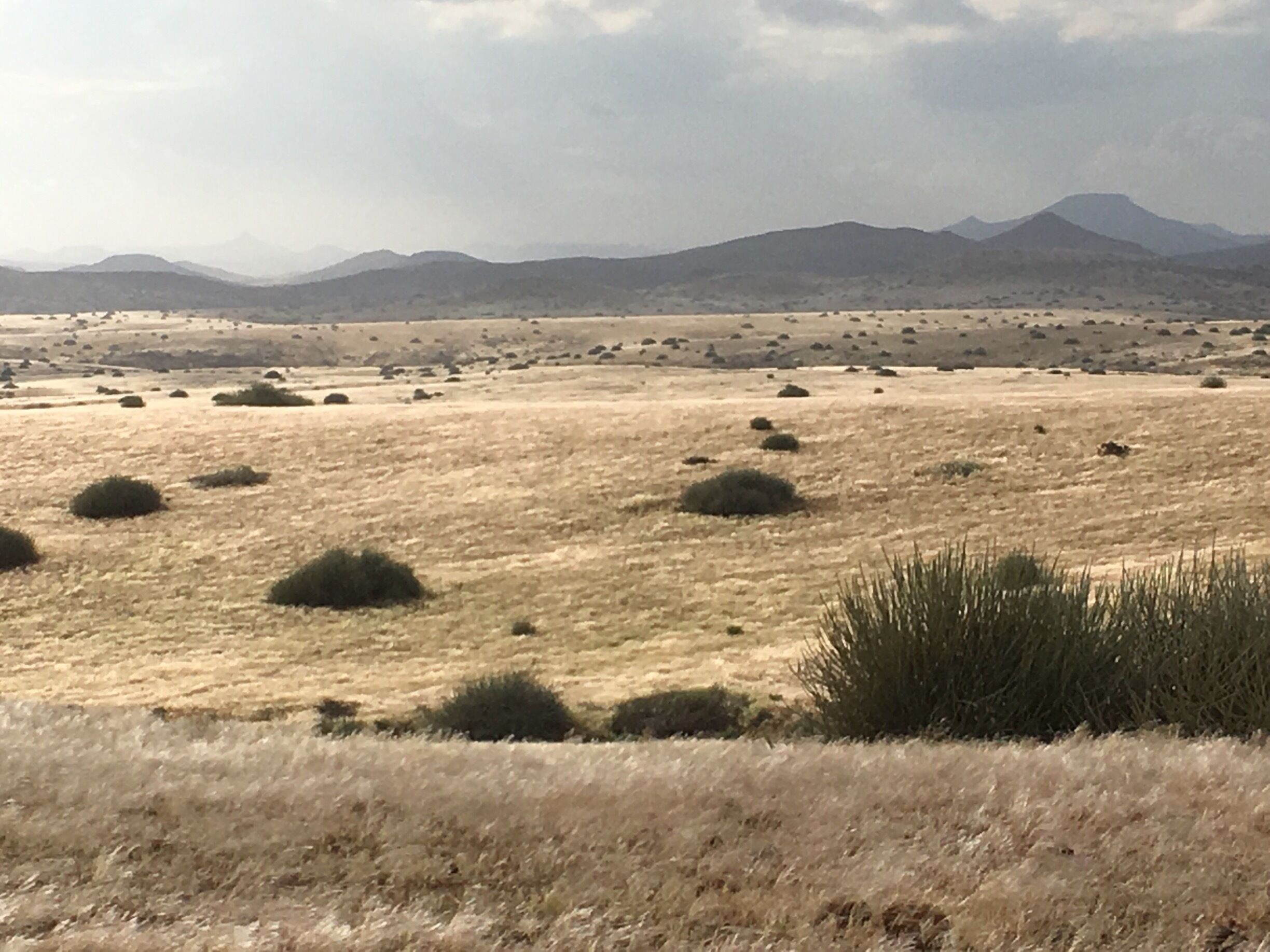 Beautiful place... conservation for rhino.  Great camp there and the landscape is amazing, changing and magical!  