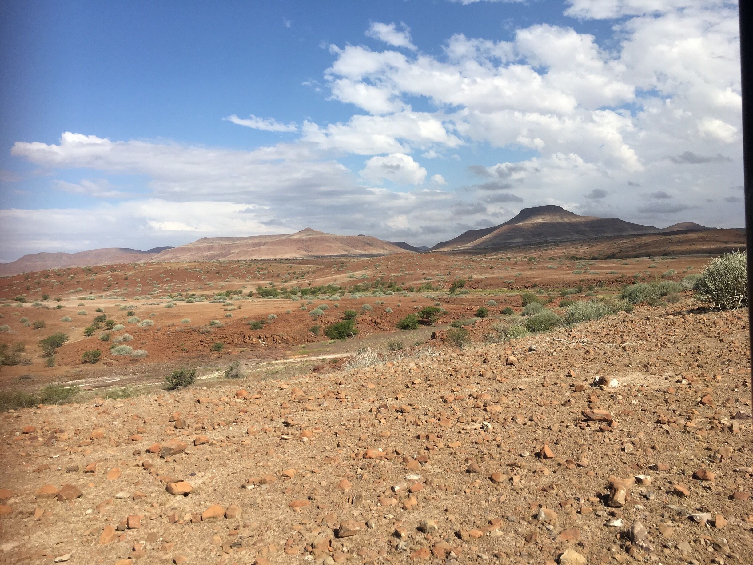 Desert and mountains... you cannot see all the colours.... it was beautiful after the rain! 