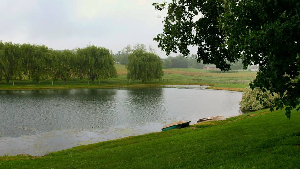 A pond surrounded by grassy fields and trees.