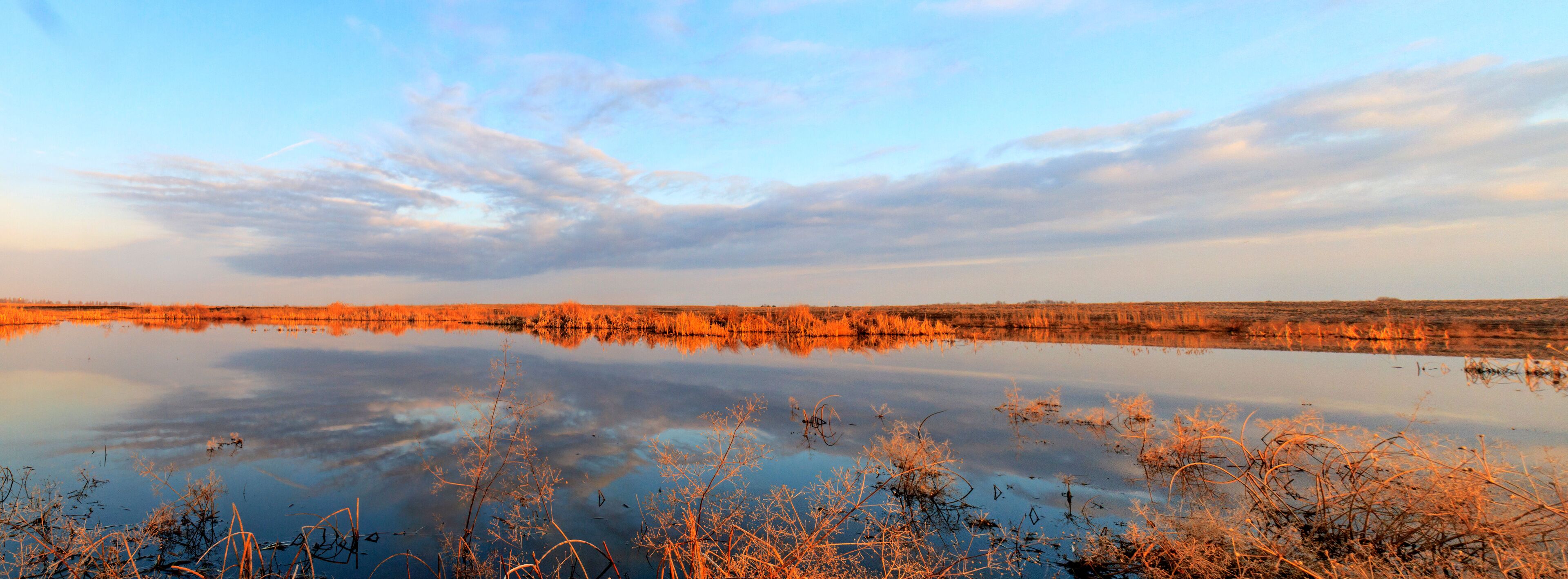 Spring flood water in the lake hunting