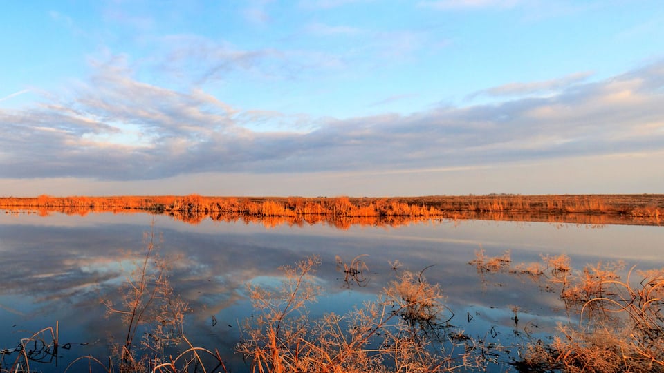 A calm lake with reflections of the sky and surrounding vegetation.