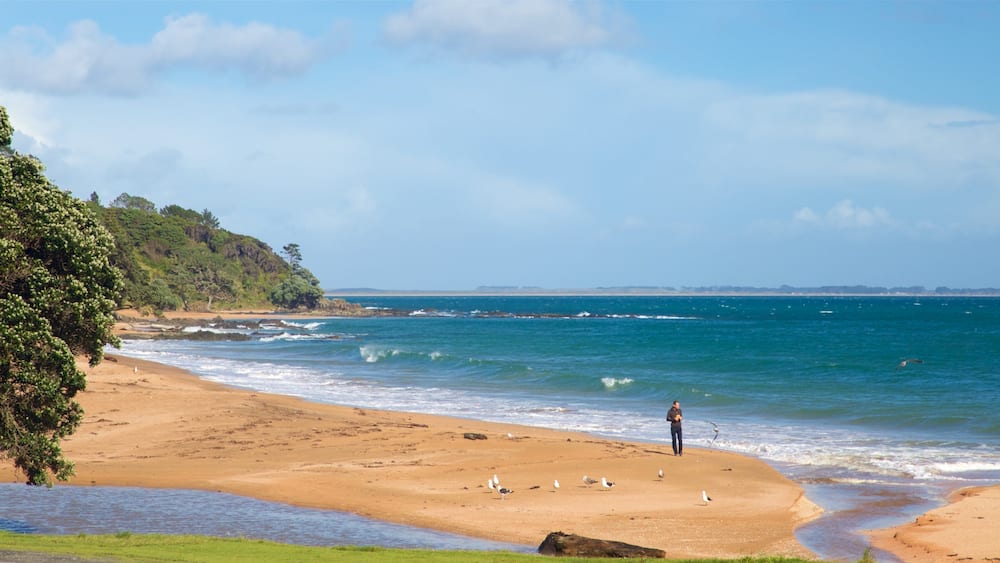 Cable Bay which includes a beach and general coastal views as well as an individual male