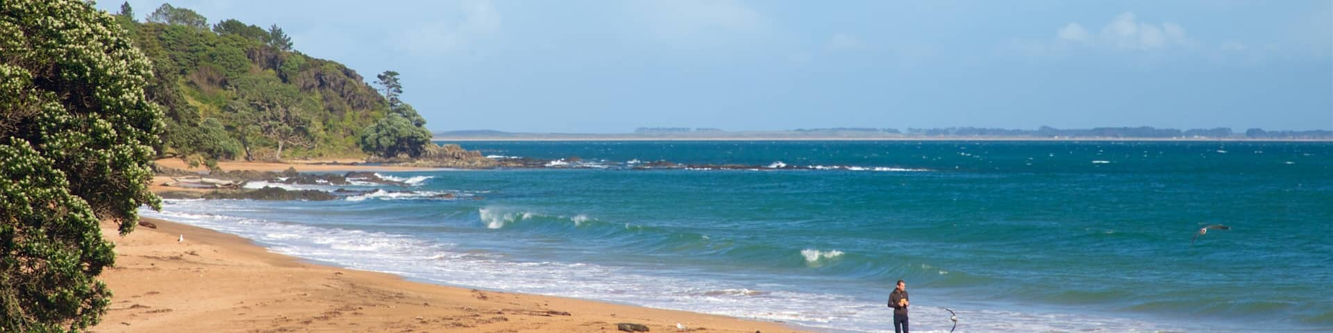 ケーブル ベイ どの含み 海岸線の眺め と 砂浜 及び 男性 (個人)