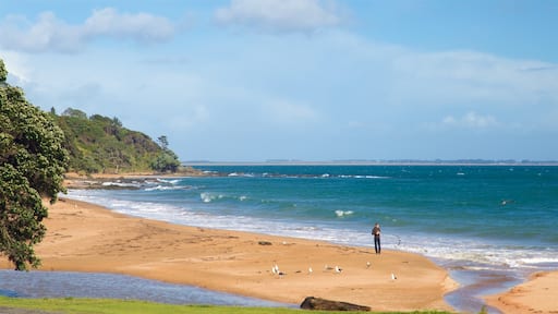 Cable Bay which includes a beach and general coastal views as well as an individual male