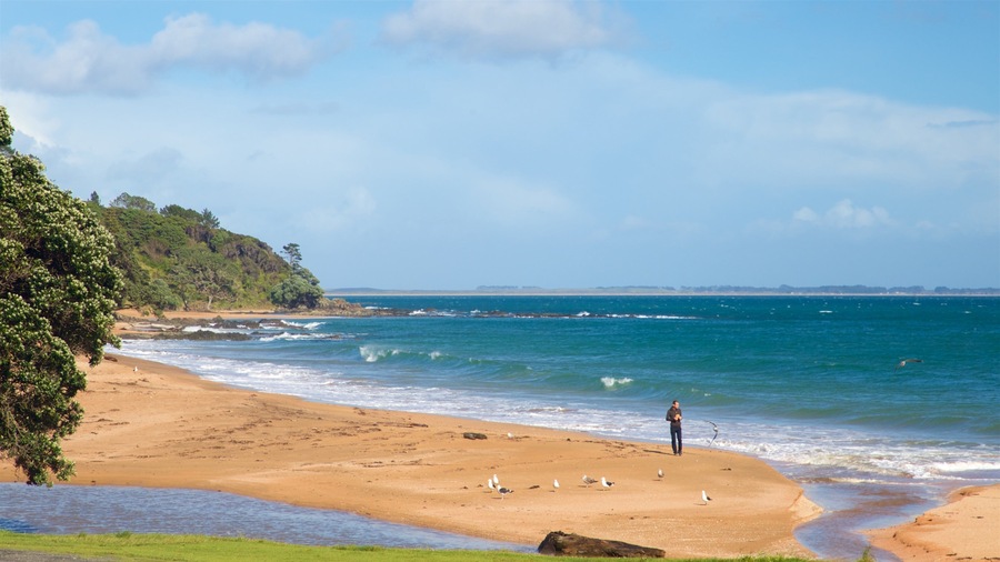 Cable Bay which includes a sandy beach and general coastal views as well as an individual male