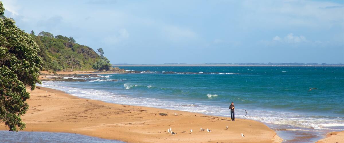 A sandy beach with waves, a person fishing, and seagulls.