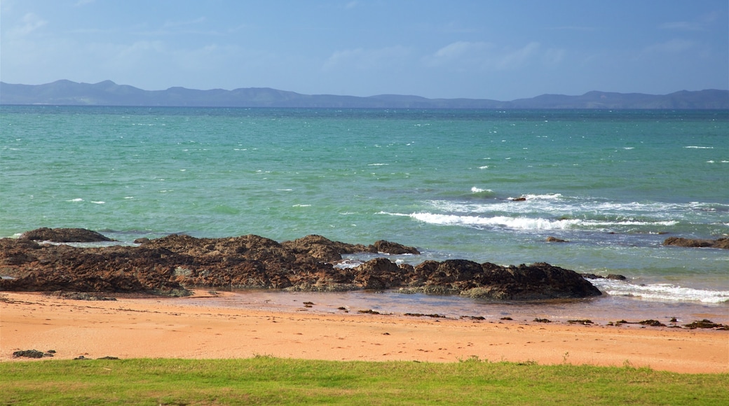 Cable Bay mettant en vedette vues littorales et plage de sable