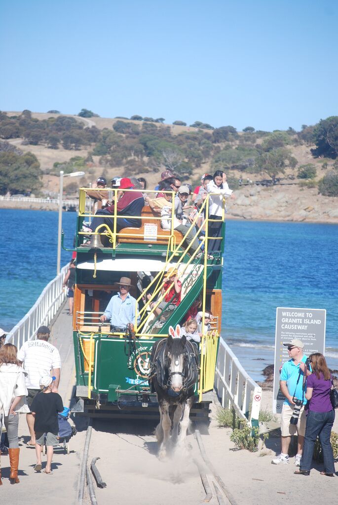 A green double-decker bus with passengers and a horse pulling it, on a coastal road with a sign reading "Welcome to Granite Island Causeway".